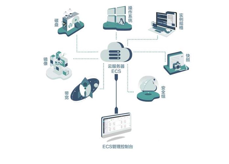 河北网站建设行业的最新动态